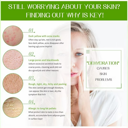 10 Mascarillas Faciales Naturales Aloe Vera – Antiedad